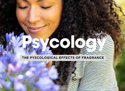 The Psychology of Fragrance: How Scents Affect Mood and Perception